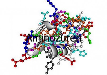 Gezondheid & Vitamines | Aminozuren