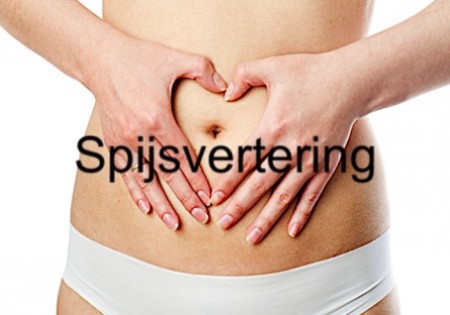 Spijsvertering