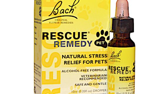 BACH RESCUE 