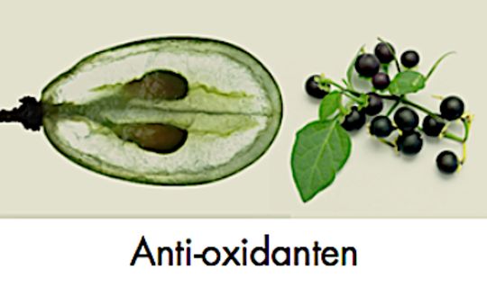 SOLGAR ANTI - OXYDANTEN