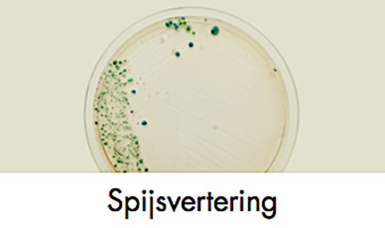 SOLGAR SPIJSVERTERING