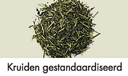 KRUIDEN SOLGAR