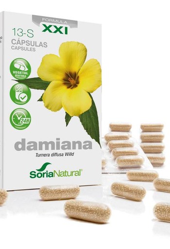 Soria Natural 13-S Damiana XXI (30 Tabletten)