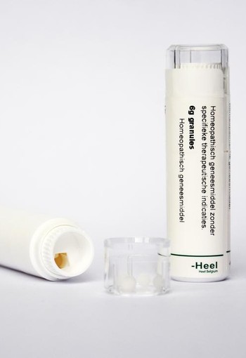 Homeoden Heel Ammonium bromatum D6 (6 Gram)