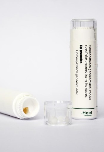 Homeoden Heel Kalium bromatum D30 (6 Gram)