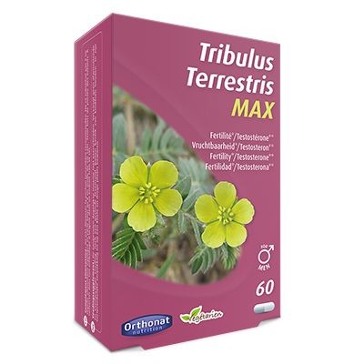 Orthonat Tribulus terretris max (60 Capsules)