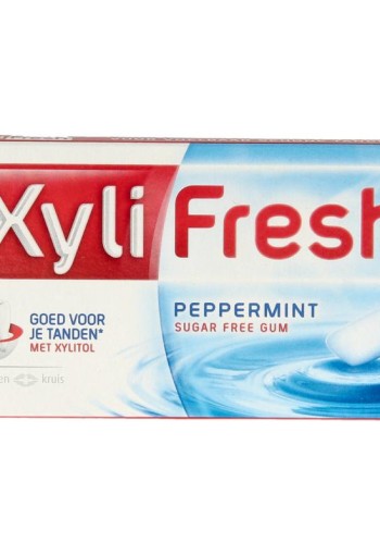 Xylifresh Peppermint (18 Gram)