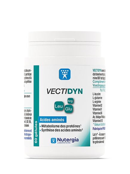 Nutergia Vectidyn (60 Capsules)