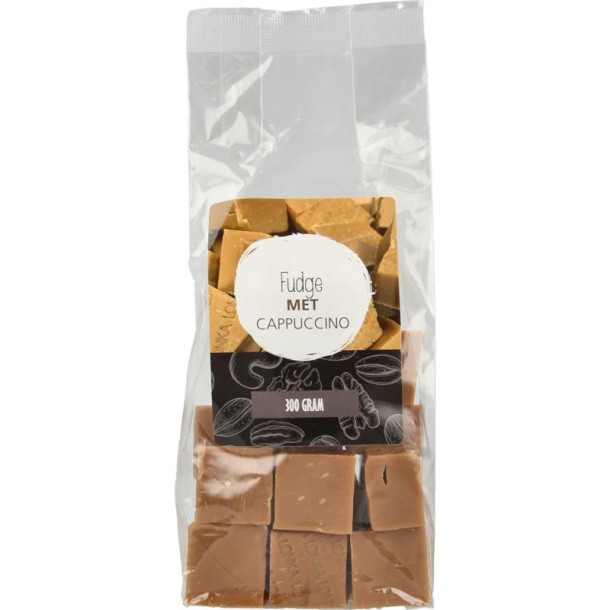 Mijnnatuurwinkel Fudge cappuccino (300 Gram)