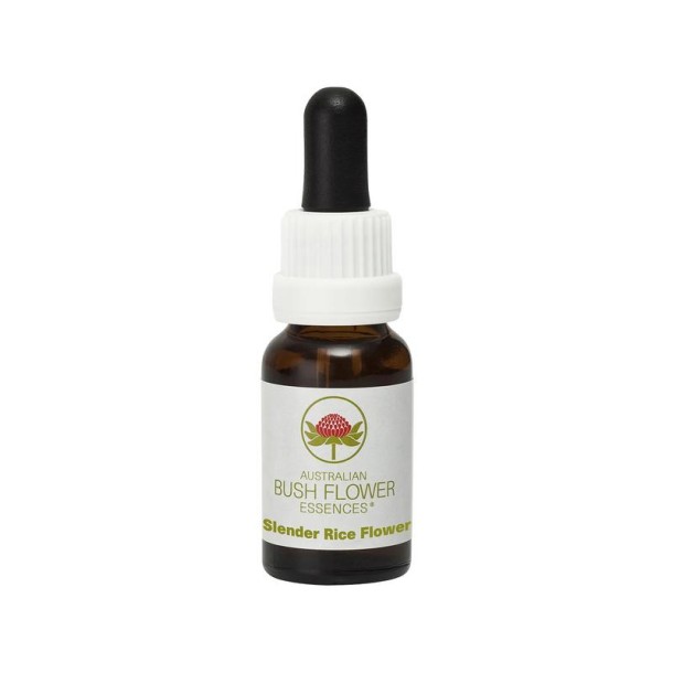 Australian Bush Slender rice flower (15 Milliliter)