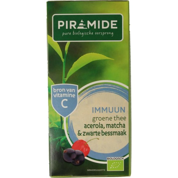 Piramide Immuun groene thee acerola matcha & zwarte bes bio (20 Zakjes)