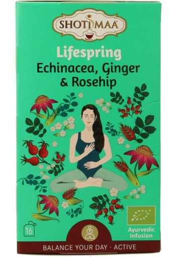 Shoti Maa Lifespring echinacea, ginger & rosehip bio (16 Zakjes)