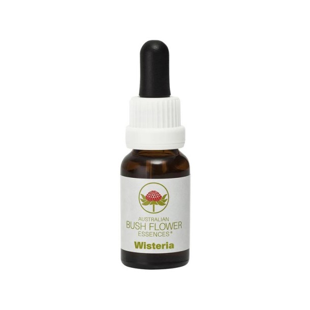 Australian Bush Wisteria (15 Milliliter)