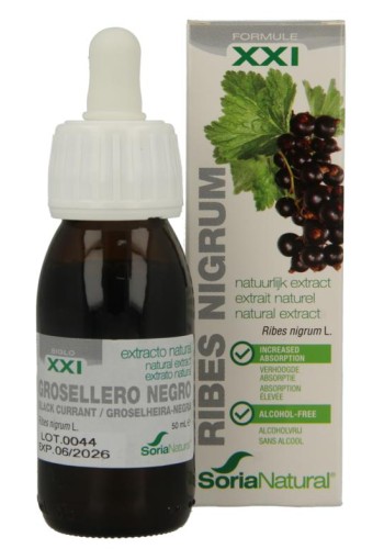 Soria Natural Ribes nigrum XXI extract (50 Milliliter)