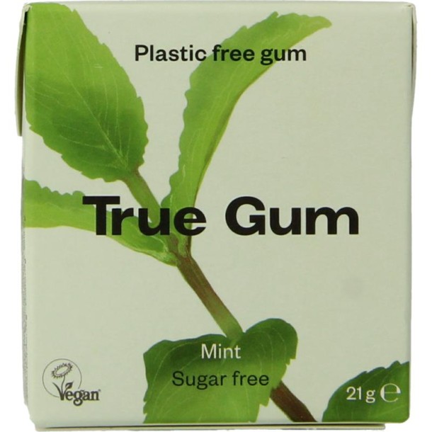 True Gum Mint suikervrij (21 Gram)