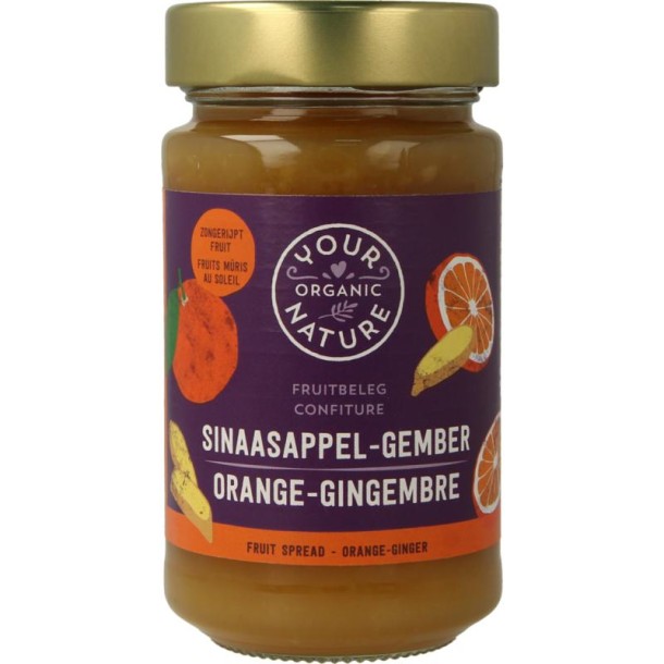 Your Organic Nat Fruit beleg sinaasappel / gember bio (250 Gram)