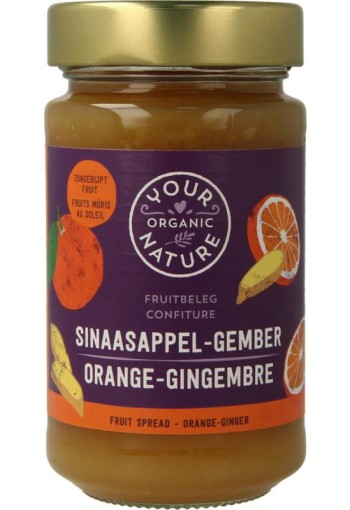 Your Organic Nat Fruit beleg sinaasappel / gember bio (250 Gram)