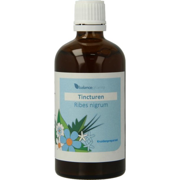 Balance Pharma Ribes nigrum tincturen (100 Milliliter)
