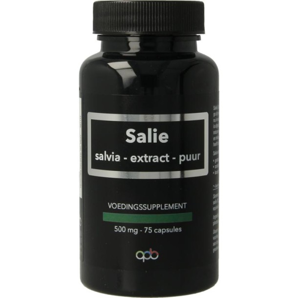 Apb Holland Salie extract puur 500mg (75 Capsules)