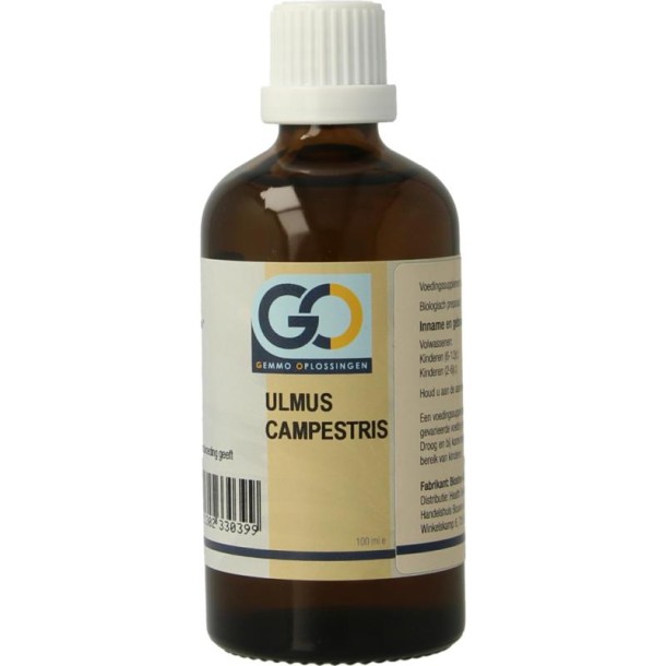 GO Ulmus campestris bio (100 Milliliter)