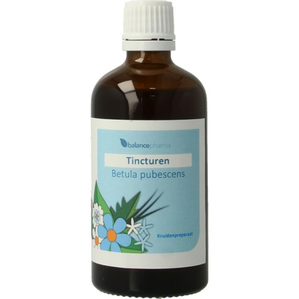 Balance Pharma Betula pubescens tincturen (100 Milliliter)