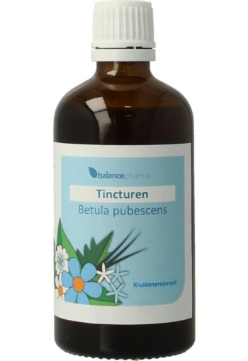 Balance Pharma Betula pubescens tincturen (100 Milliliter)