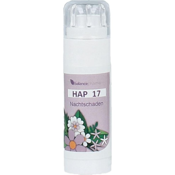Balance Pharma Nachtschadigen allergoplex (6 Gram)