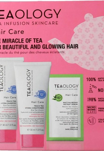 Teaology Peach tea hair kit (1 Stuks)