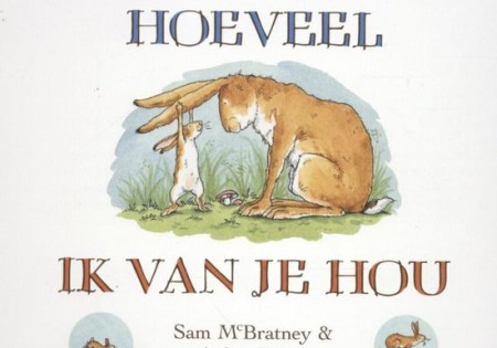 Kartonboek: Raad eens (luxe karton). 2+