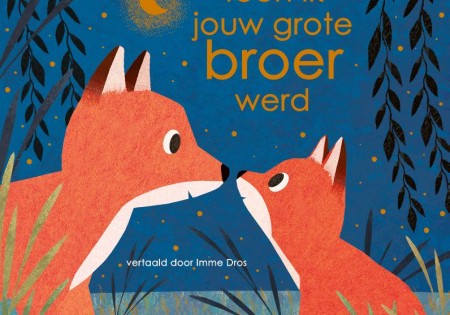 Prentenboek: Toen ik jouw grote broer werd.... 3+