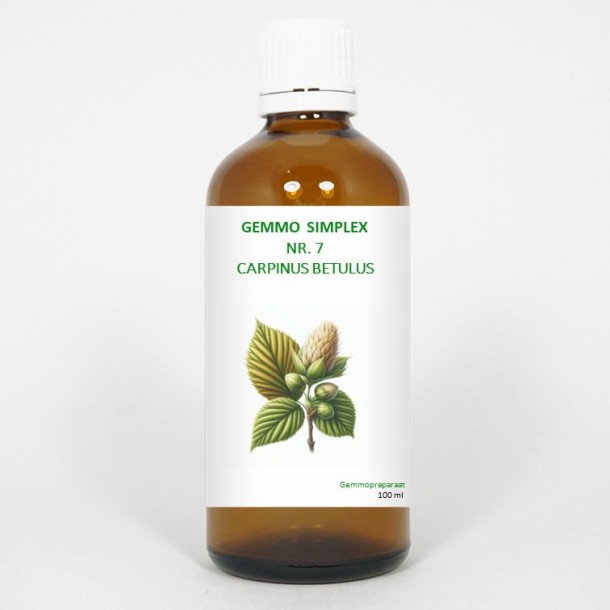 Balancepharma Gemmo simplex 7 carpinus betulus (100 Milliliter)