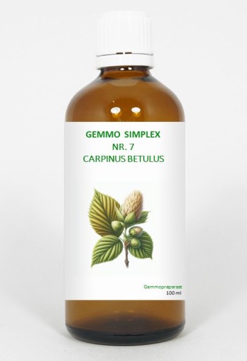 Balancepharma Gemmo simplex 7 carpinus betulus (100 Milliliter)