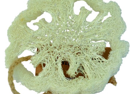 Aleppo Soap Co Loofah natuurspons plak (1 Stuks)