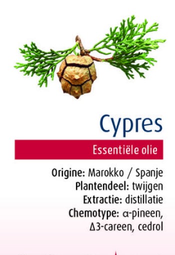 Physalis Cypres bio (10 Milliliter)