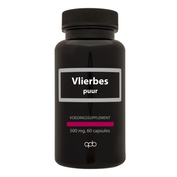 Apb Holland Vlierbes extract puur 500mg (60 Vegetarische capsules)