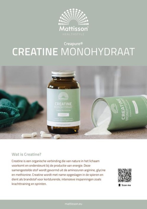 Mattisson Flyer creatine mondhydraat (100 Stuks)