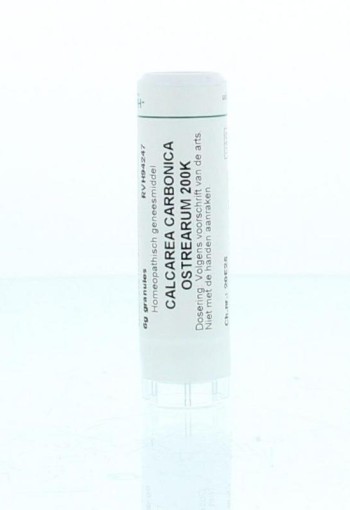 Homeoden Heel Calcarea carbonica 0 200K (6 Gram)