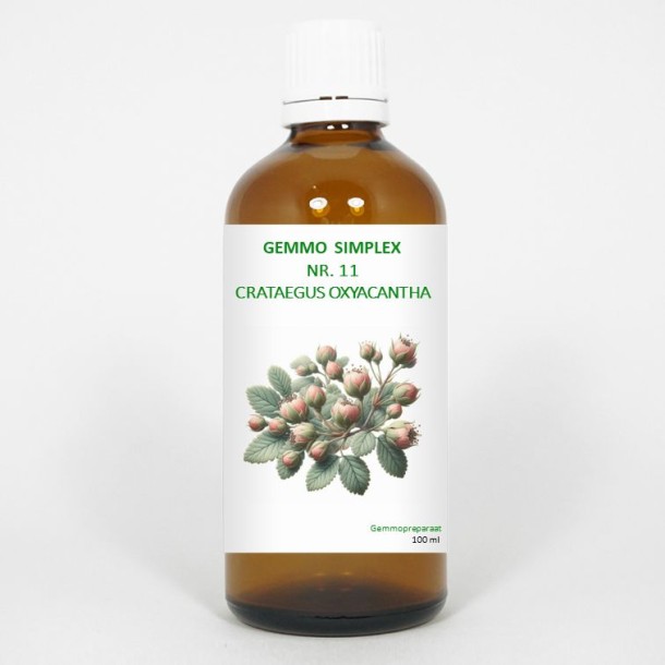 Balancepharma Gemmo simplex 11 crataegus oxyacantha (100 Milliliter)