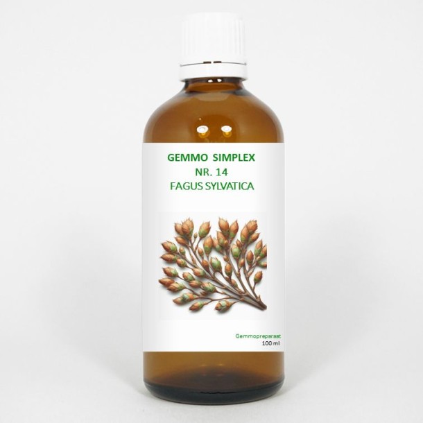 Balancepharma Gemmo simplex 14 fagus sylvatica (100 Milliliter)