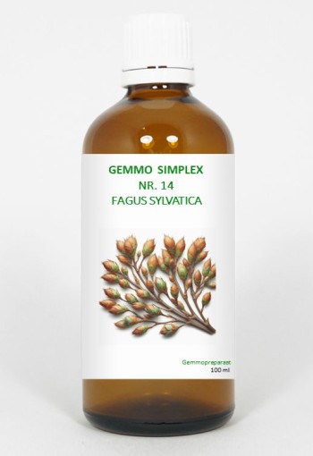 Balancepharma Gemmo simplex 14 fagus sylvatica (100 Milliliter)