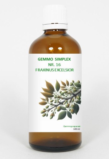 Balancepharma Gemmo simplex 16 fraxinus excelsior (100 Milliliter)