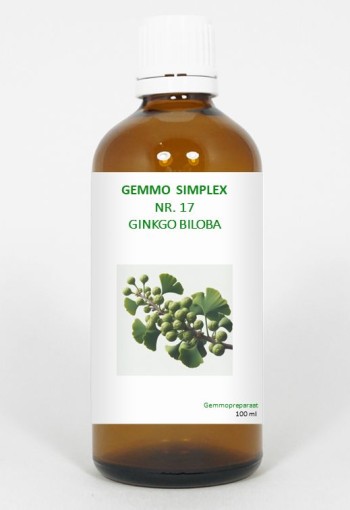 Balancepharma Gemmo simplex 17 ginkgo biloba (100 Milliliter)