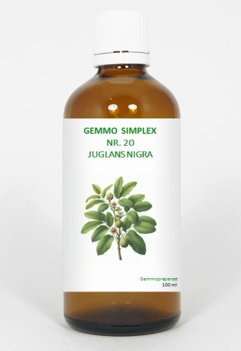 Balancepharma Gemmo simplex 20 juglans nigra (100 Milliliter)