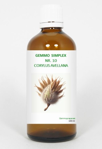 Balancepharma Gemmo simplex 10 corylus avellana (100 Milliliter)