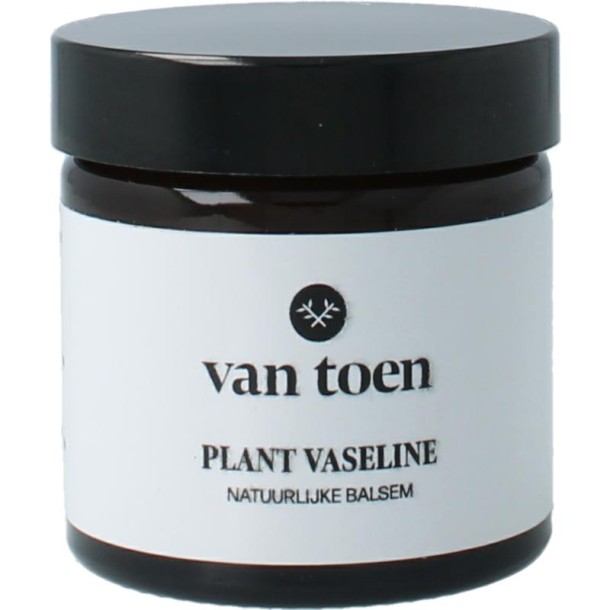 Van Toen Plantaardige vaseline (55 Milliliter)