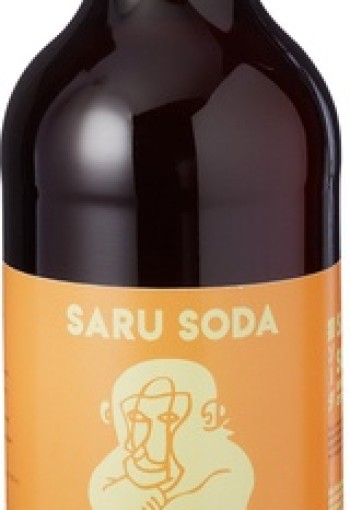 Saru Soda Siroop caramel koffie bio (1 Liter)