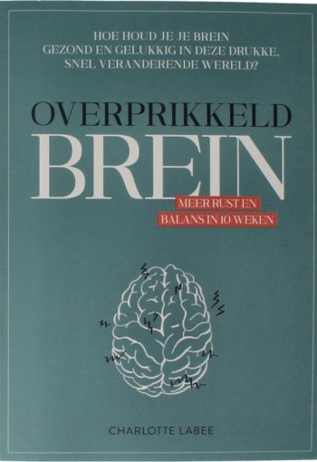 Charlotte Labee Overprikkeld brein (1 Boek)