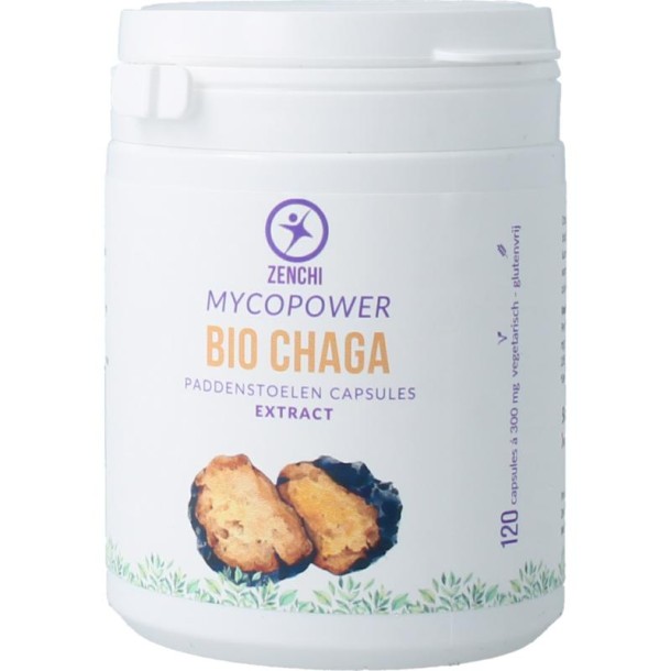 Mycopower Bio Chaga extract bio (120 Capsules)