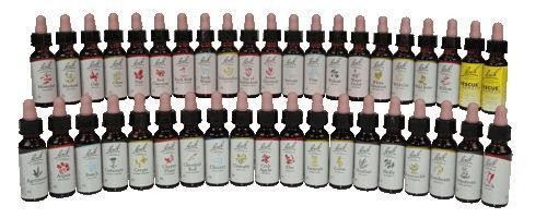 Bach Pine/den (20 Milliliter)