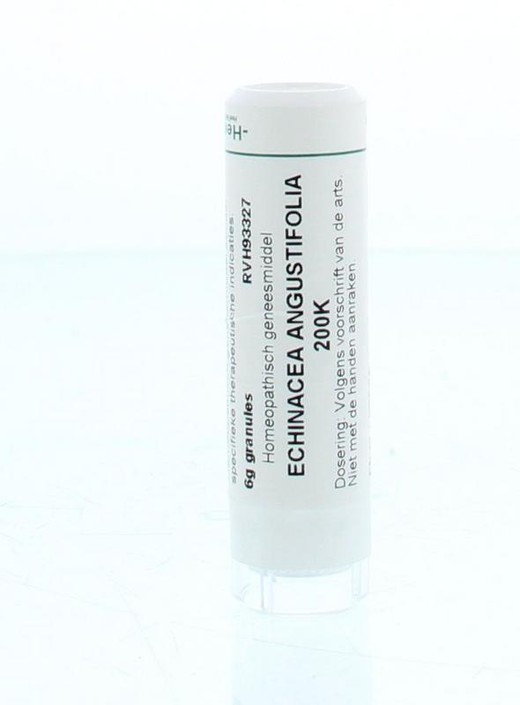 Homeoden Heel Echinacea angustifolia 200K (6 Gram)